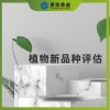 陜西省榆林市無形資產(chǎn)評(píng)估植物新品種評(píng)估今日更新